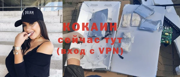 винт Костерёво