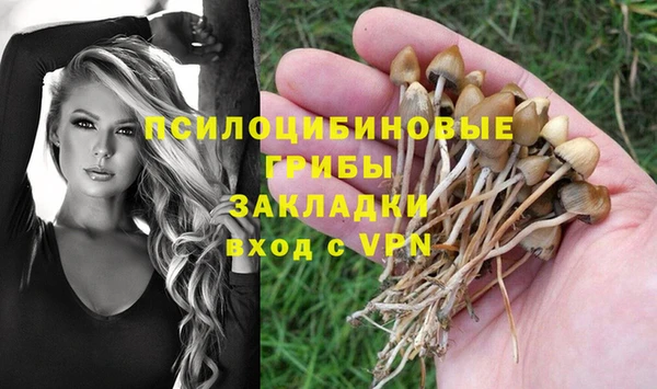 прущая мука Коряжма